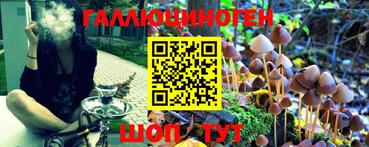 Псилоцибиновые грибы Magic Shrooms Лесной
