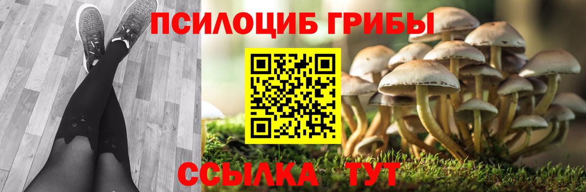 Галлюциногенные грибы Cubensis  Галлюциногенные грибы Psilocybe  купить наркоту  Вход с VPN  Лесной 