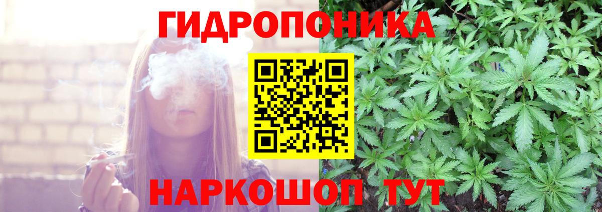 Марихуана Bruce Banner  Вход с VPN  Лесной  МАРИХУАНА ГИДРОПОН  Конопля конопля  Бошки марихуана планчик 